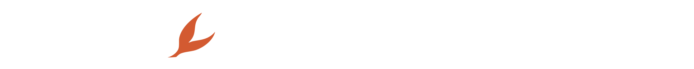 syrondesign