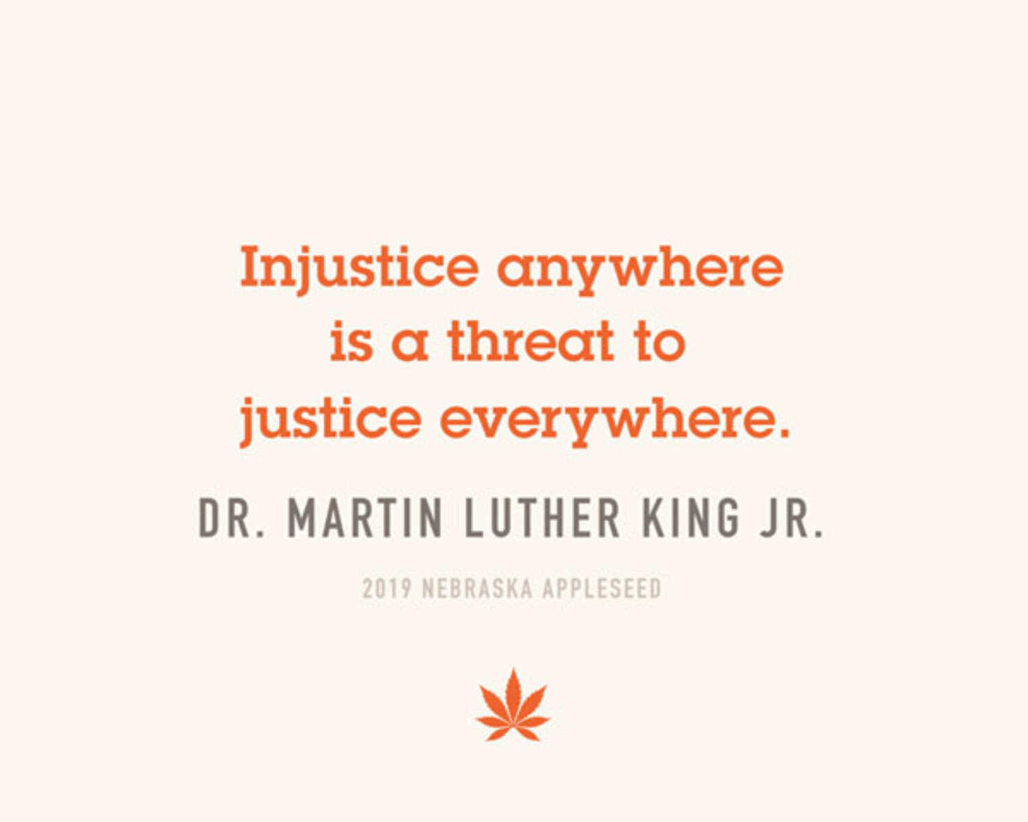 Injustice Quote - MLK